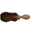 compound carbon fiber  case for cello CAVC01